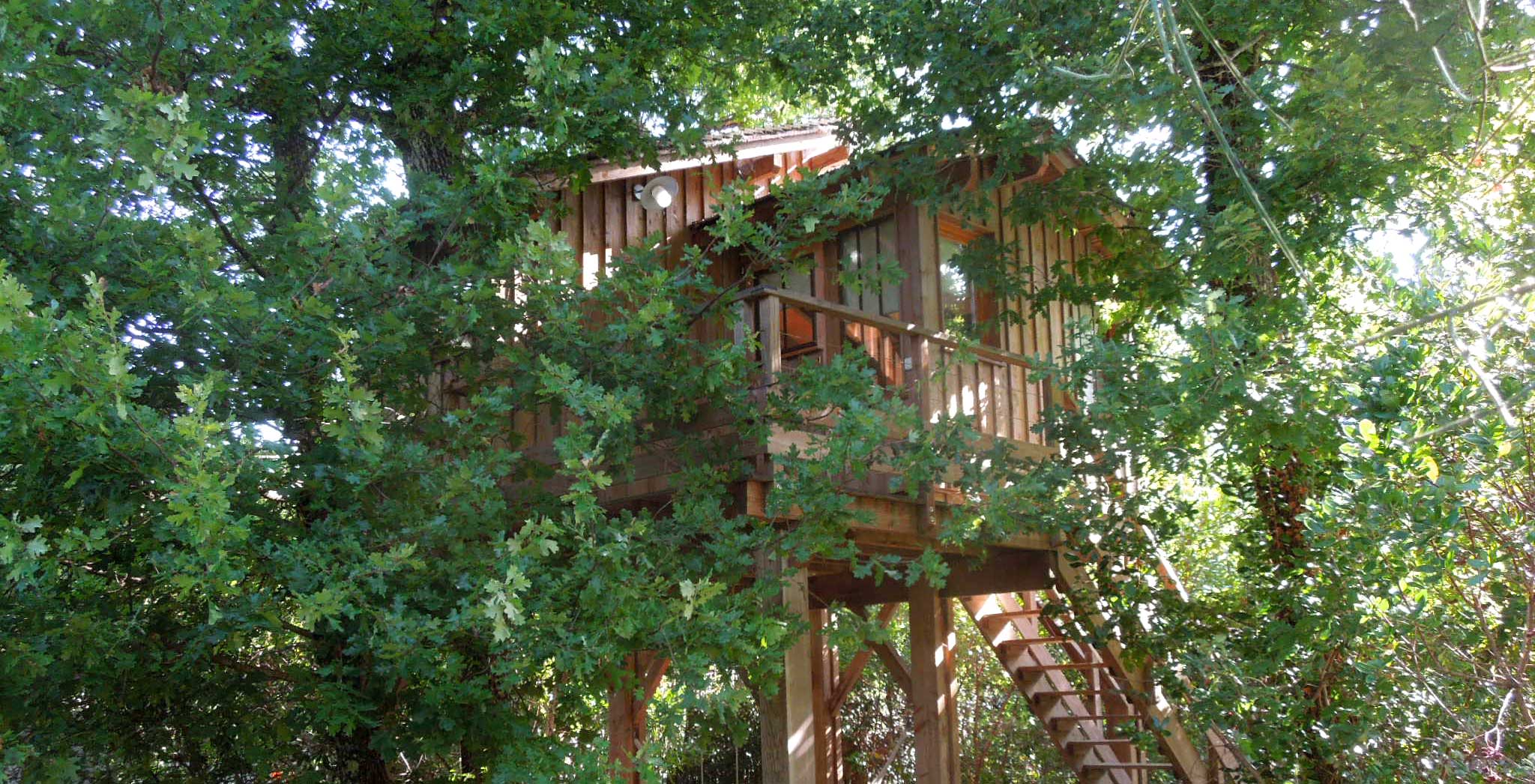 cabane dans les arbres