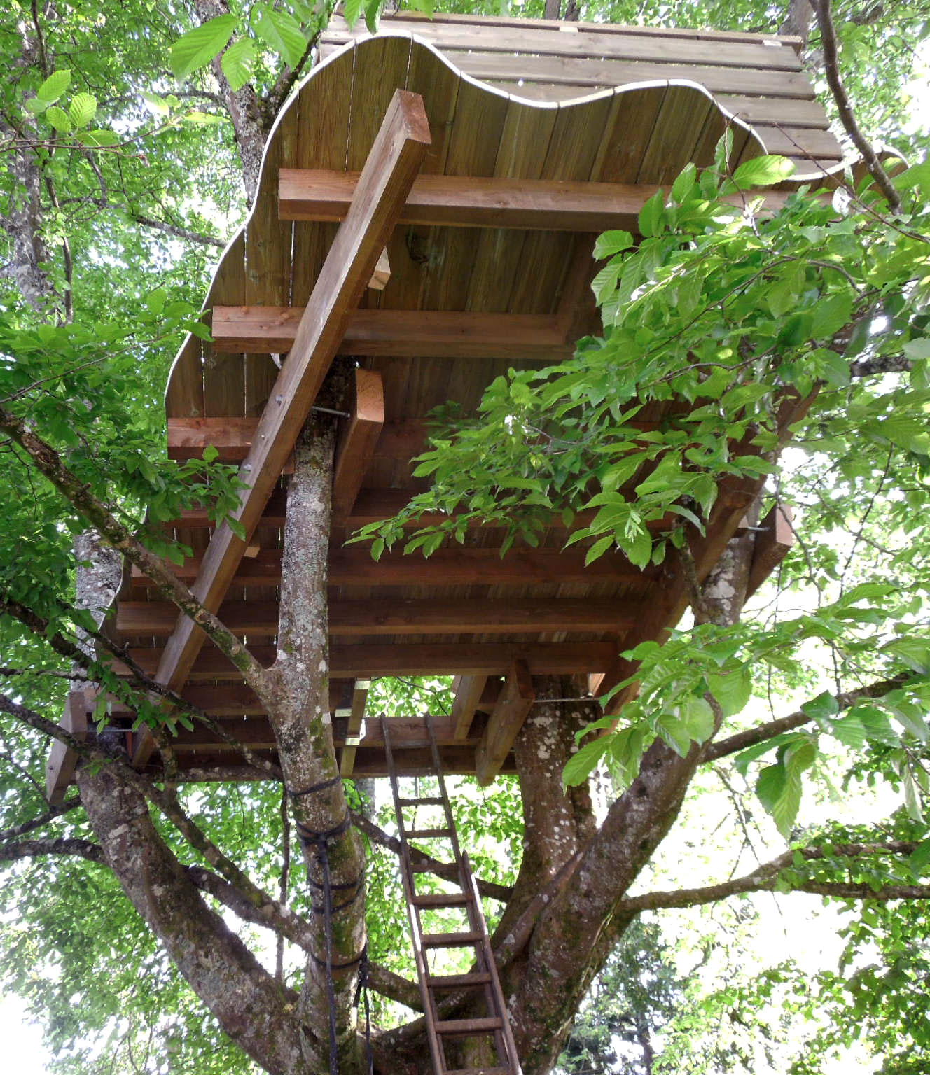 terrasse cabane dans les arbres